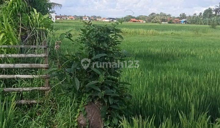 Pasti Closing Di Sewakan Tanah Lokasi Kedungu Belalang Tabanan 1
