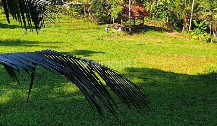 Pasti Closing Di Jual Tanah Lokasi Megati Kelod Selemadeg Timur Tabanan 2