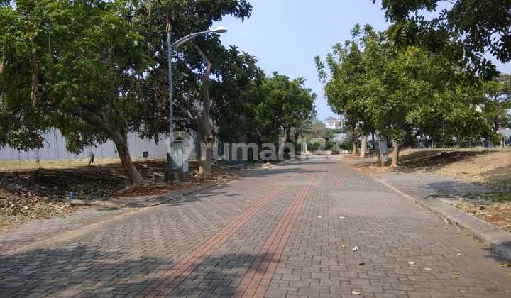 Dijual Cepat Kavling Tanah Di Ancol Marina Coast The Green (murah Bagus)