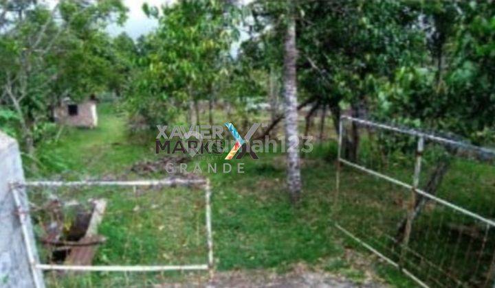 Dijual Tanah Luas Di Kawasan Wisata Perkebunan, Batu, Malang 2