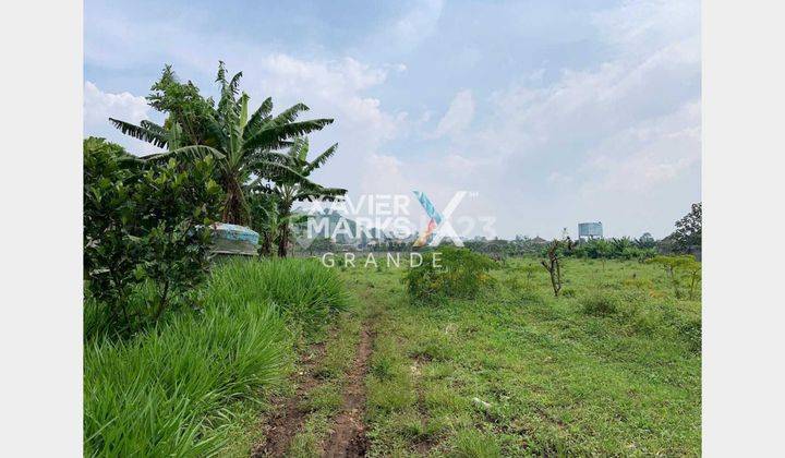 Disewakan tanah luas di Bedali Lawang - Malang 2