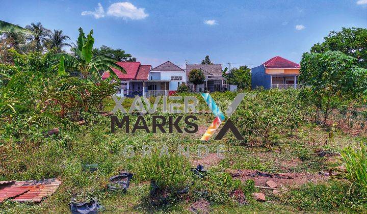 Dijual Tanah Kavling Perumahan Di Kebonagung, Pakisaji, Malang  1