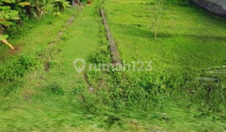 Dijual Sebidang Tanah Di Singosari Makang