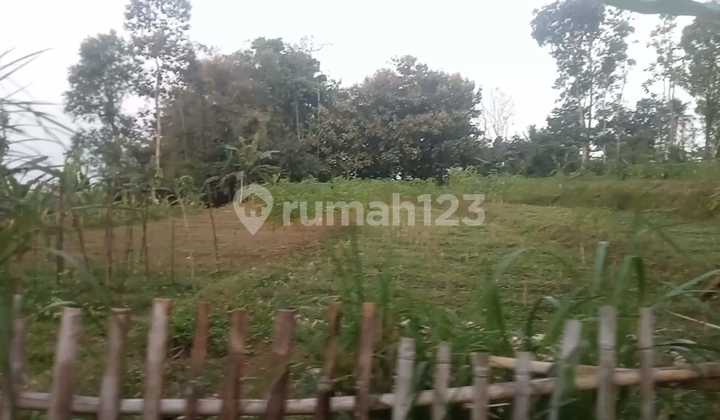 Land For Sale In Petungsewu Area Wagir Malang Land For Sale In Petungsewu Area Wagir Malang