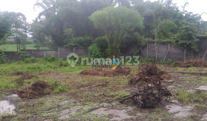 Dijual Sebidang Tanah Di Poros Jalan Pakis Malang