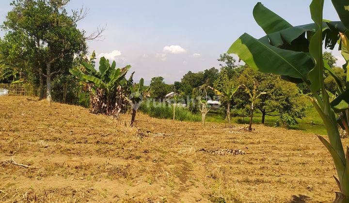 Jual Tanah Kavling Purwokerto di Campus Residence Arcawinangun 2
