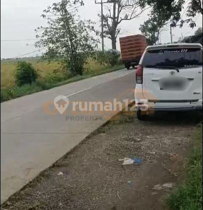 For Quick Sale!!Rice Field Land Area 12627 M² in Karawang Bekasi