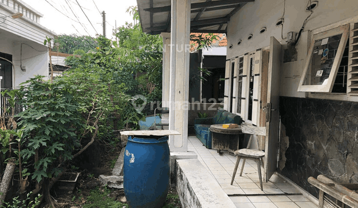 Rumah Tinggal Lingkungan Aman Di Cempaka Putih NS0130 2