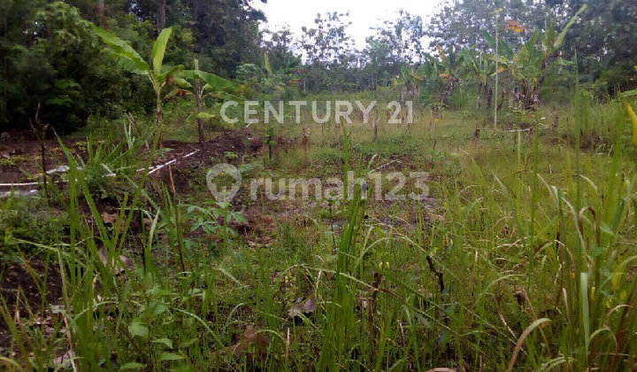 Turun Harga Tanah Strategis Di Karangmojo Gunung Kidul Yogya S8938