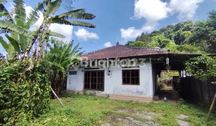 Dijual Tanah Bonus Rumah BU di Luwus Tabanan Bali 