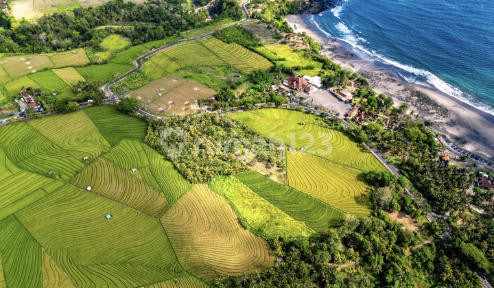 Tanah Murah Dijual Murah Tabanan - Dekat Pantai Soka Tanah Murah Dijual Murah Tabanan - Dekat Pantai Soka