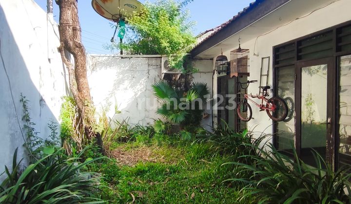 Rumah Disewakan Dan Dijual Di Gelogor Carik Bali  2