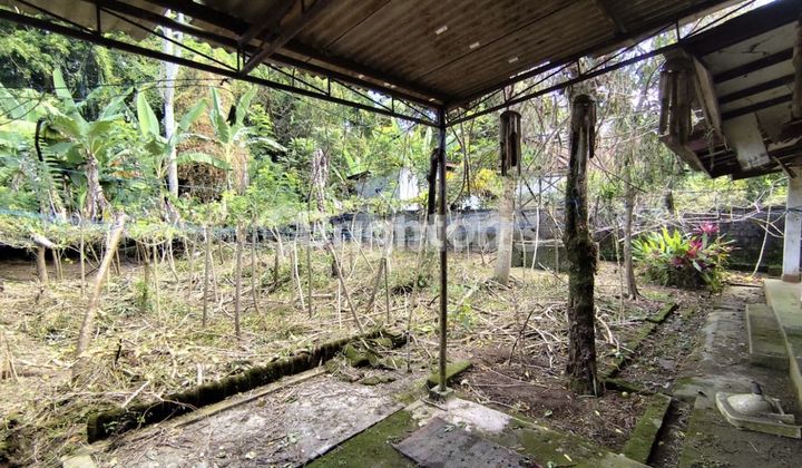 Dijual Tanah Bonus Rumah BU di Luwus Tabanan Bali 