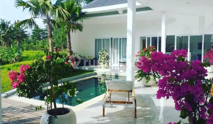 Villa Siap Huni 2BR Di Ubud | PRPU35 Villa Siap Huni 2BR Di Ubud | PRPU35