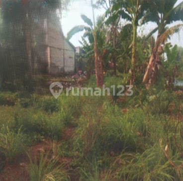 Affordable Sale Via Auction Ciseeng Bogor Land CS36 Affordable Sale Via Auction Ciseeng Bogor Land CS36