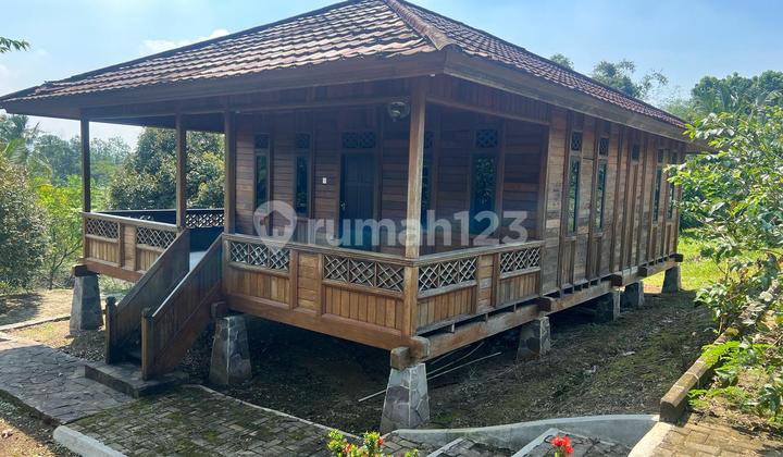Dijual Murah Via Lelang Rumah Pamijahan Bogor PJ310