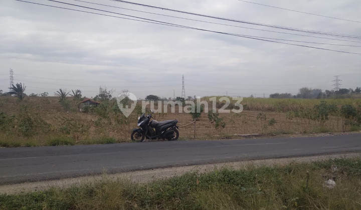 Tanah Raya Mojosari Rejo Driyorejo Gresik 6.354 M² - SHM (Dr571)