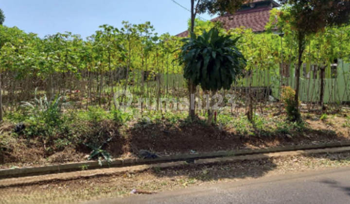 Sold Cheap Via Auction Cijeruk Bogor Land CJ15