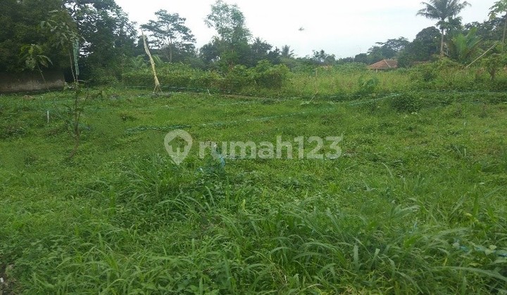 Dijual Murah Via Lelang Tanah Tamansari Bogor TS577 Dijual Murah Via Lelang Tanah Tamansari Bogor TS577