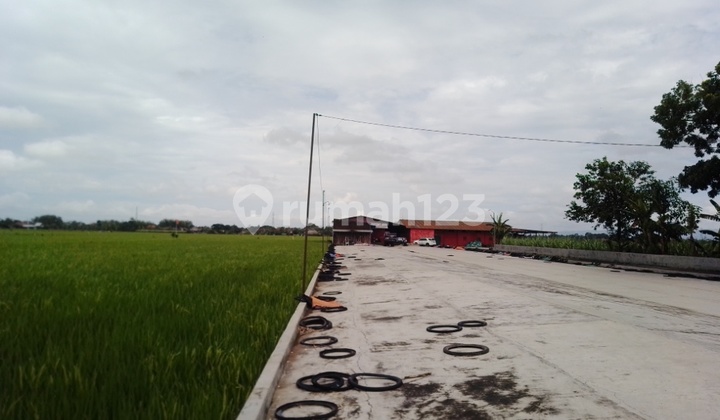 JUAL LELANG TANAH GUDANG KESAMBI KUDUS MJ1716 DEKAT STASIUN JUAL LELANG TANAH GUDANG KESAMBI KUDUS MJ1716 DEKAT STASIUN