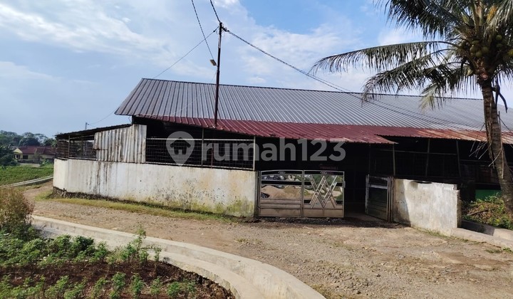 Dijual Murah Via Lelang Rumah Cinangneng Bogor TL657 2