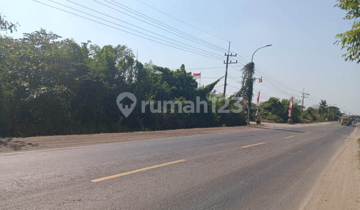 FOR SALE AUCTION OF SEMBAYAT GRESIK M647 LARGE LAND NEAR FATHMA MEDIKA HOSPITAL GRESIK