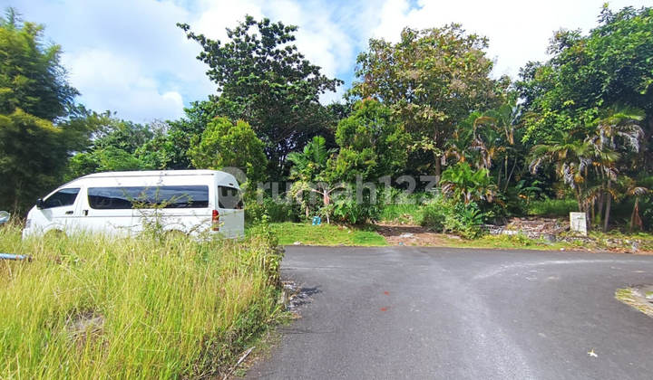 Dijual Murah Via Lelang Tanah Badung Bali KS6876