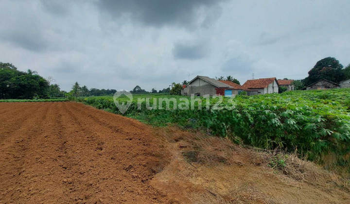 Affordably Sold Via Auction Land Ciseeng Bogor CS702 Affordably Sold Via Auction Land Ciseeng Bogor CS702