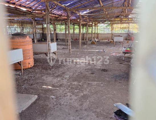 Turun Harga Tanah Lelang Asemkandang Pasuruan Dekat Rs Turun Harga Tanah Lelang Asemkandang Pasuruan Dekat Rs