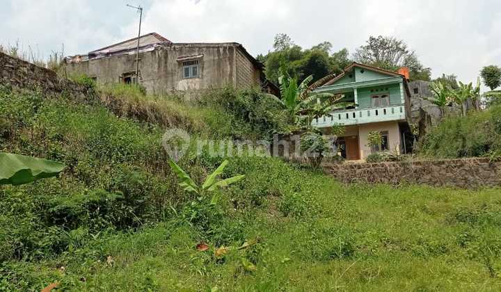 TANAH CISARUA BOGOR CR1374 CASH ONLY