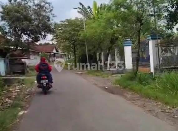 Dijual Murah Via Lelang Rumah Bangsalsari Jember Bs327