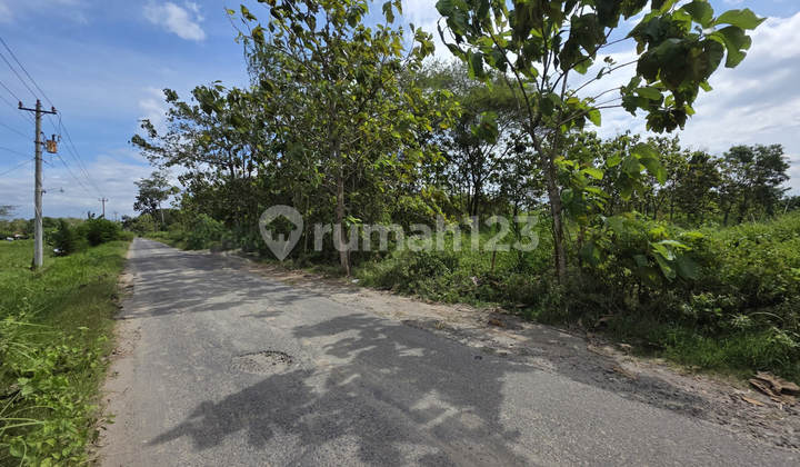 TANAH SUKOHARJO NG0007