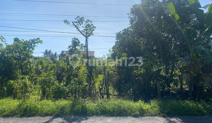 For Sale Auction Land Raya Wringinpitu Tegaldlimo Banyuwangi