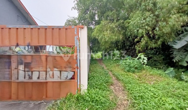 Cheap Sale Via Auction Land Pakis Malang P745