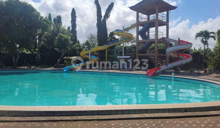 Dijual Murah Via Lelang Hotel Banyuwangi RJ999 Dijual Murah Via Lelang Hotel Banyuwangi RJ999