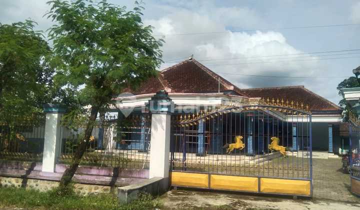Dijual Murah Via Lelang Rumah Bangsalsari Jember Bs327