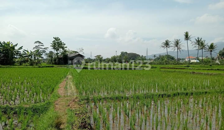 Dijual Murah Via Lelang Tanah Paseh Bandung P139