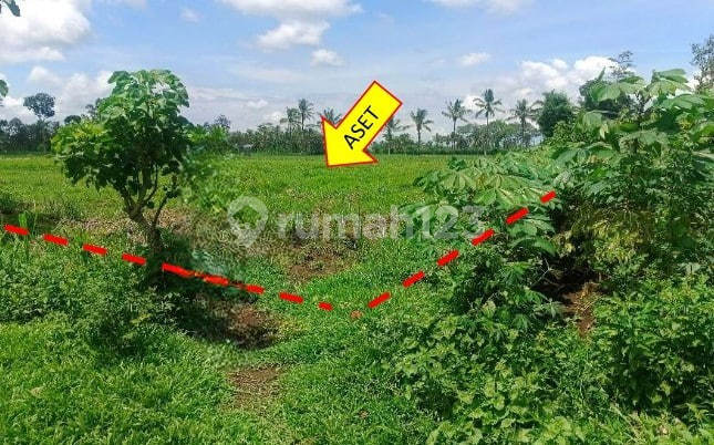 Sold Cheap Via Auction Land Turen Malang T774