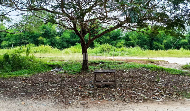 Dijual Murah Via Lelang Tanah Jonggol Bogor J4167 Dijual Murah Via Lelang Tanah Jonggol Bogor J4167