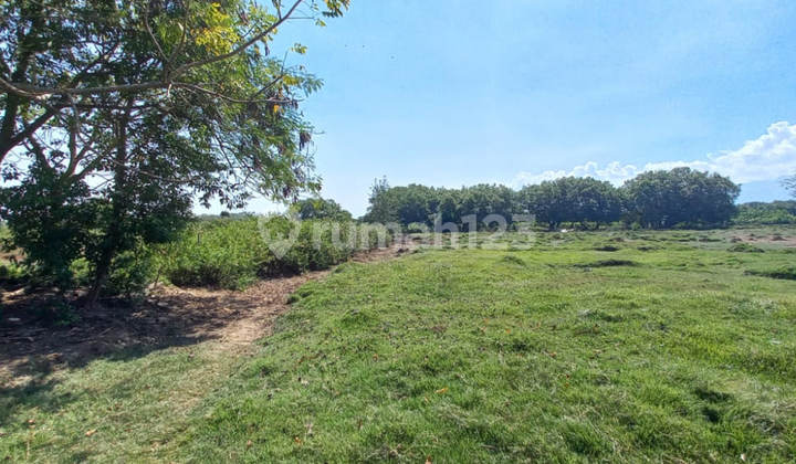 Dijual Murah Via Lelang Tanah Jembrana Bali JR01036 Dijual Murah Via Lelang Tanah Jembrana Bali JR01036