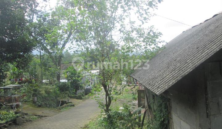 Tanah Dayurejo Prigen Pasuruan Dekat Wisata