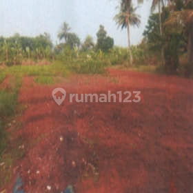 Affordable Sale Via Auction Ciseeng Bogor Land CS36 Affordable Sale Via Auction Ciseeng Bogor Land CS36