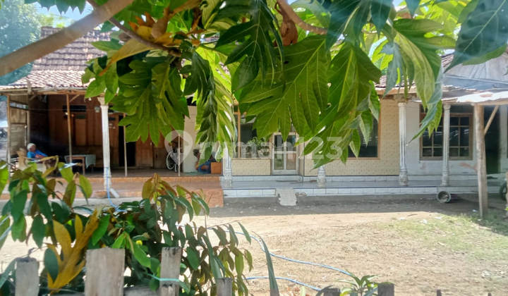 Dijual Murah Via Lelang Rumah Curahtatal Situbondo Aj562 2