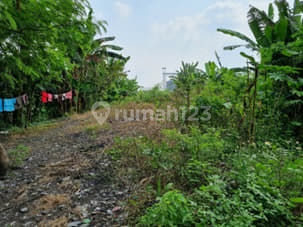 Tanah Raya Pemuda Mojosari Mojokerto 2.355 M² - SHM (Ms141)