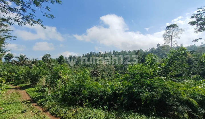 Sold Cheap Via Auction Land Ampelgading Malang AG796