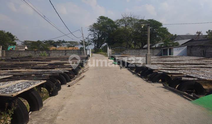 Dijual Lelang Gudang Raya Tuban Margosuko Bancar Dekat Fasum Dijual Lelang Gudang Raya Tuban Margosuko Bancar Dekat Fasum
