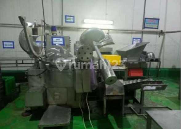 FOR SALE AUCTION ACTIVE FROZEN FOOD FACTORY REMBANG S34359 INCLUDING MACHINERY