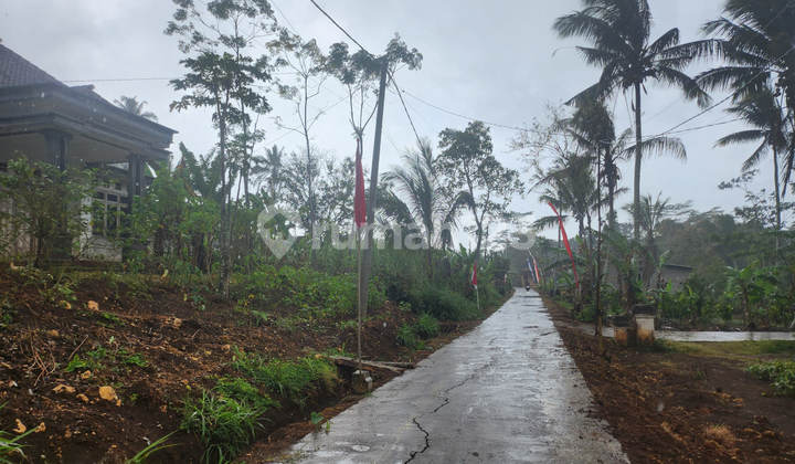 Dijual Murah Via Lelang Rumah Malang SW197 2