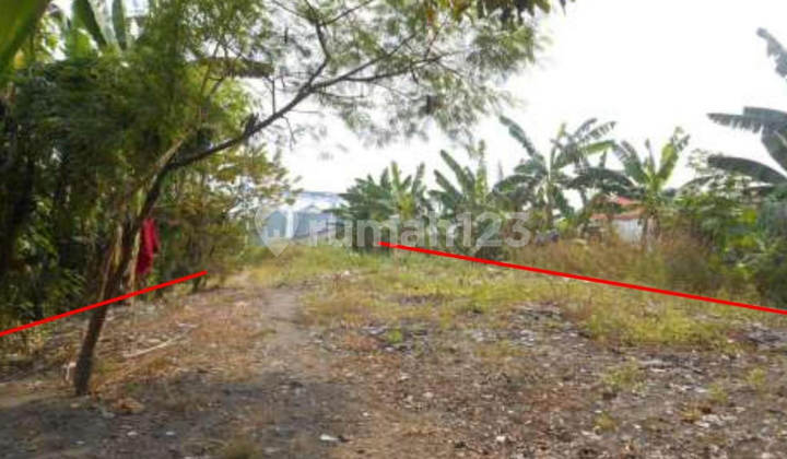 Tanah Raya Pemuda Mojosari Mojokerto 2.355 M² - SHM (Ms141)