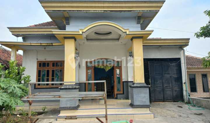 Dijual Via Lelang Rumah 1Lt di Kec Krembung Sidoarjo Dijual Via Lelang Rumah 1Lt di Kec Krembung Sidoarjo